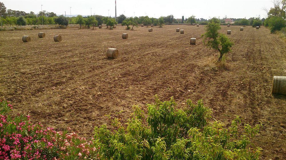 Il Mirto E La Rosa Bed & Breakfast Agrigento Ngoại thất bức ảnh
